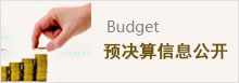 预决算信息公开