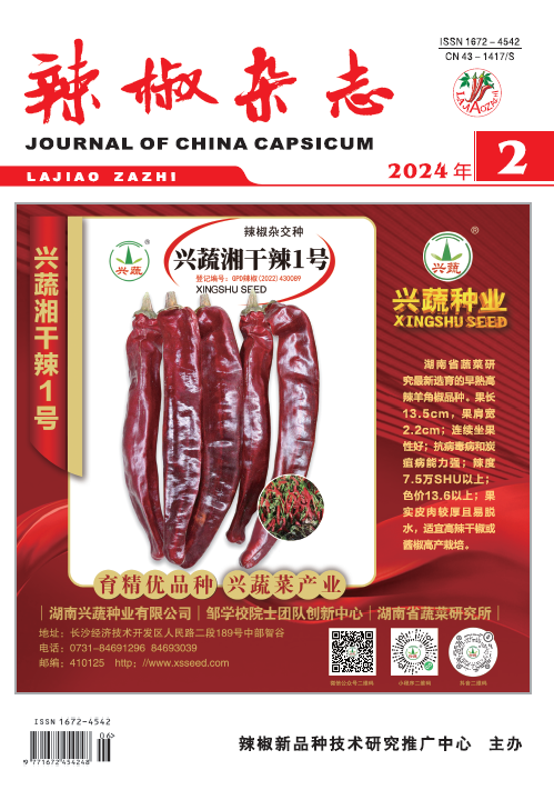 辣椒杂志